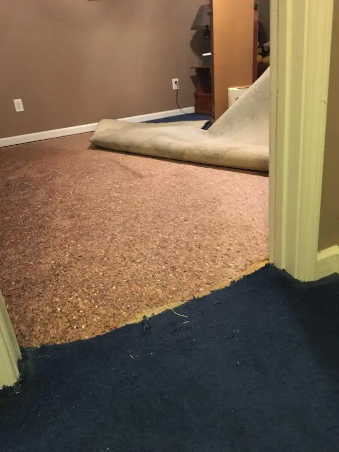 Carpet pad removal revealing water damage during Water Mitigation Services in Caledonia