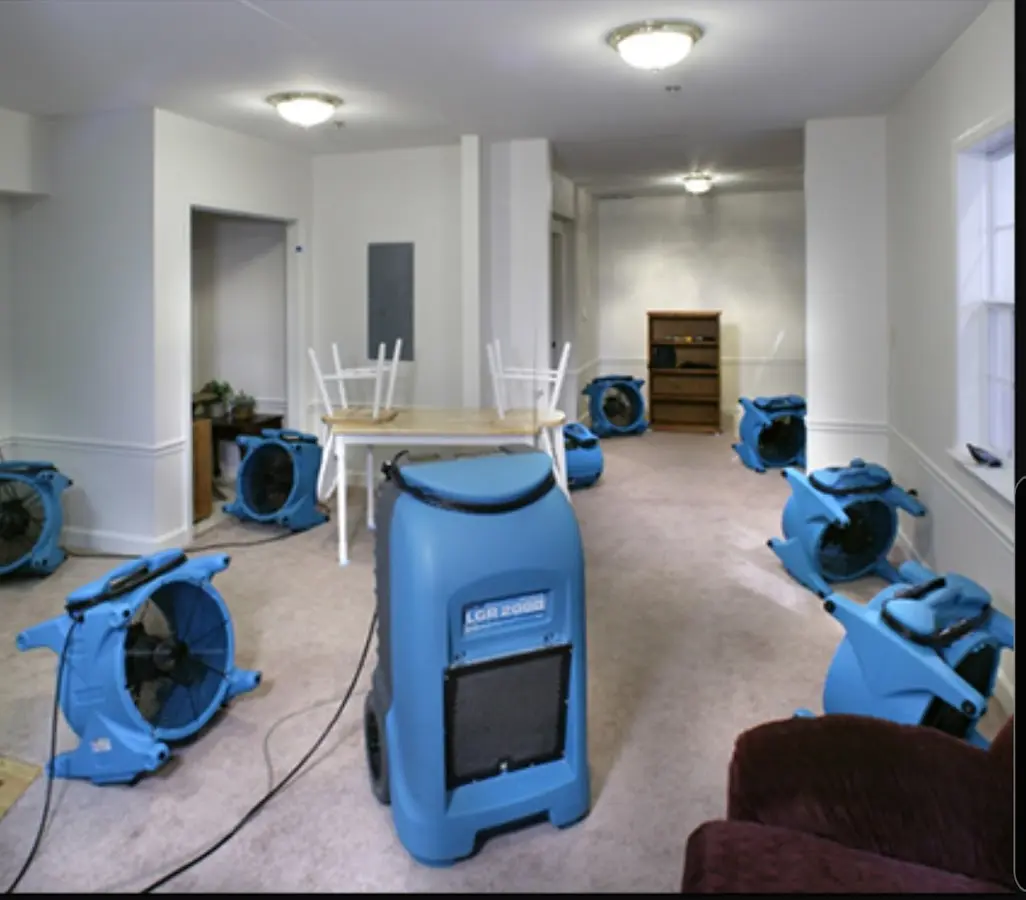 Air movers and dehumidifier setup for Water Extraction & Removal in Caledonia