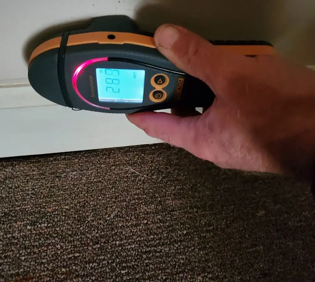 Moisture detection at baseboard during Mold Inspection & Testing in Caledonia